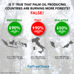 Is it true that palm oil producing countries are burning more forests?