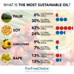 What is the most sustainable oil?