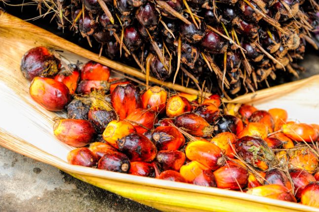 Palm Oil Causes Cancer Forfreechoice