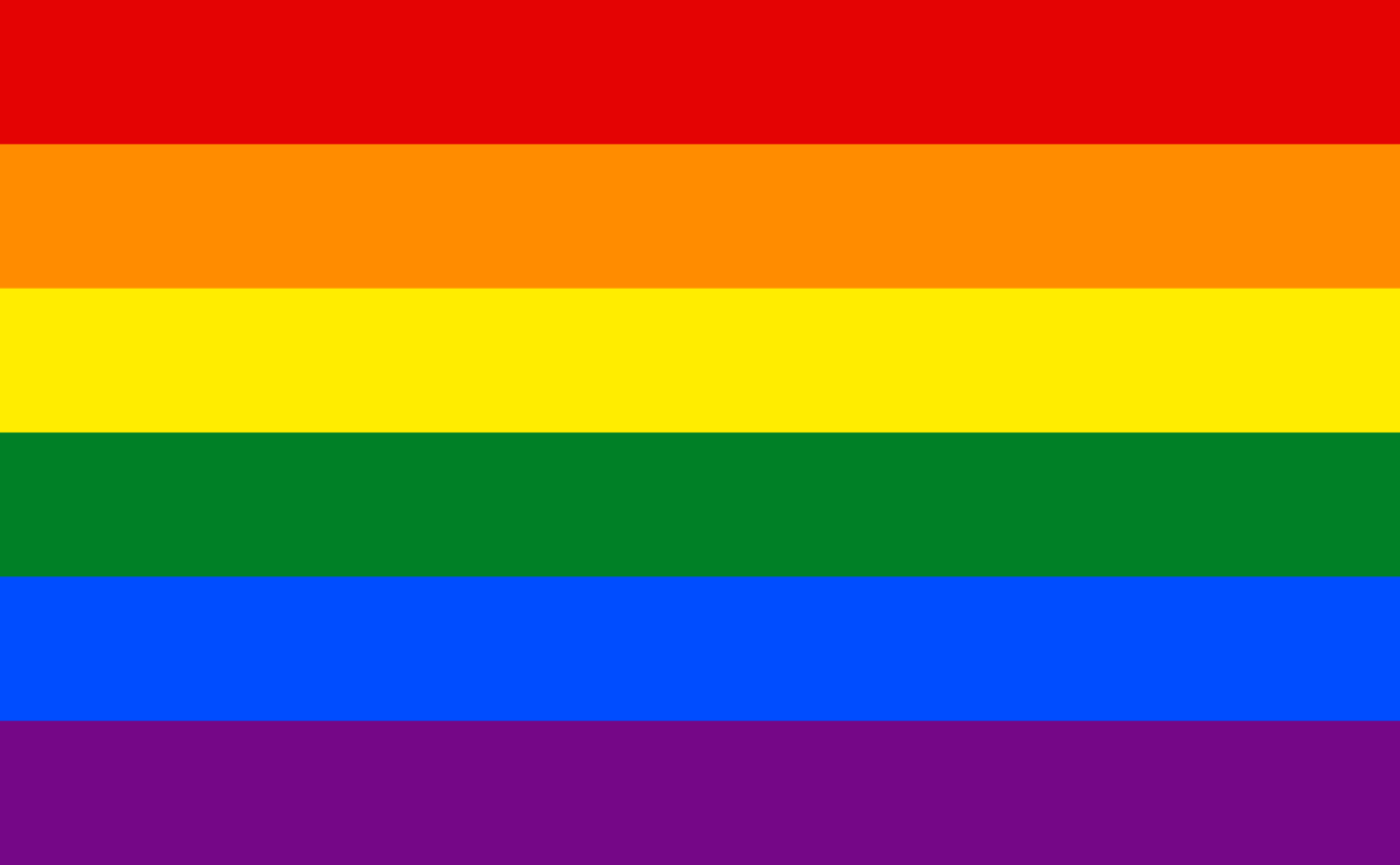 the new gay pride flag is retarded